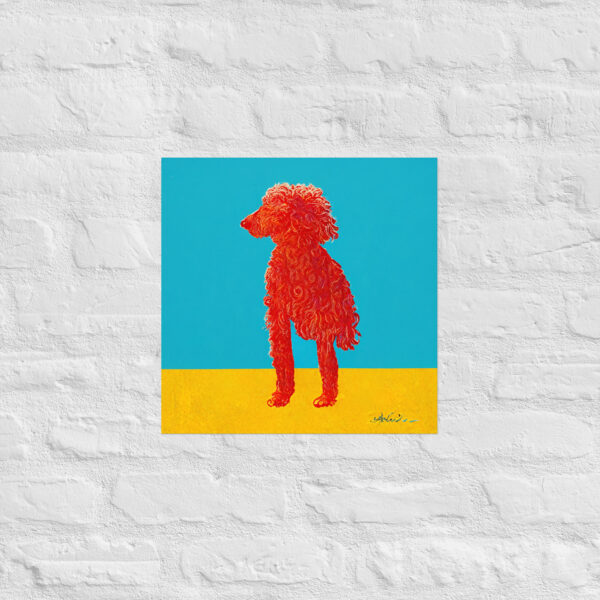 Poodle in the style of David Hockney